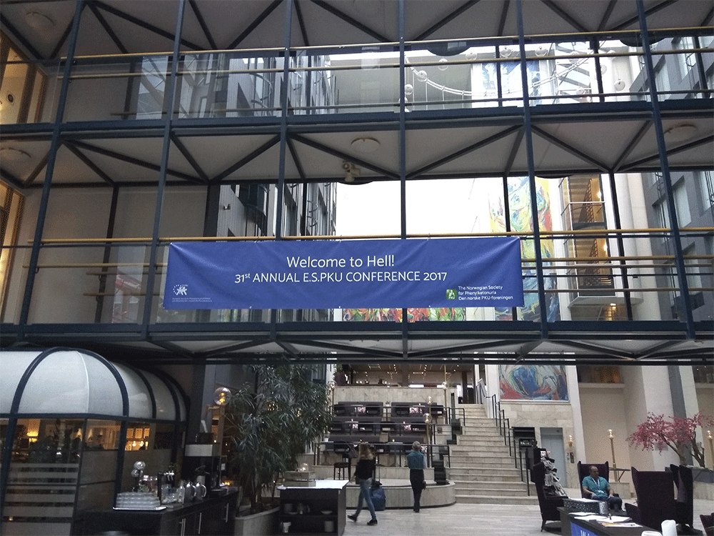 31st E.S.PKU Conference 2017